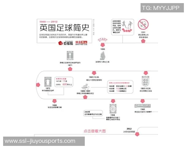 深入了解法国足球的历史文化与发展现状解析